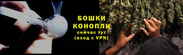 молекула духа Волоколамск
