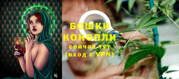 ГАЛЛЮЦИНОГЕННЫЕ ГРИБЫ Волосово