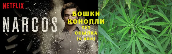 ГАЛЛЮЦИНОГЕННЫЕ ГРИБЫ Верхний Тагил