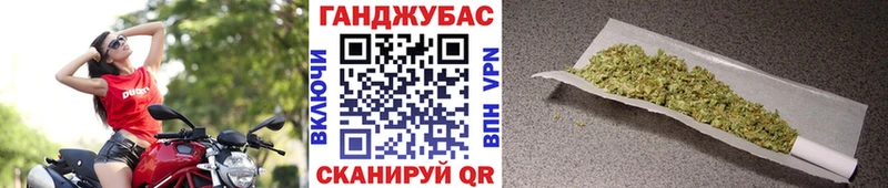 Конопля SATIVA & INDICA  Плавск 